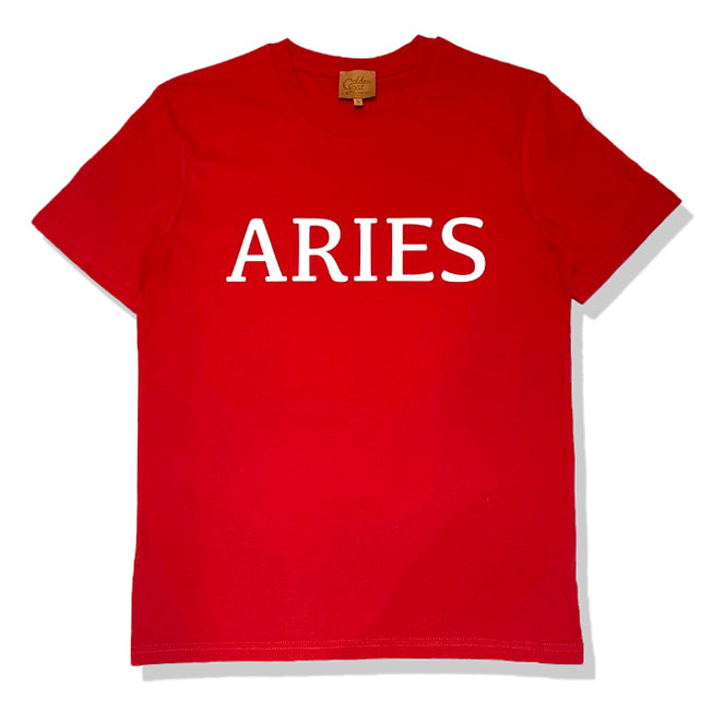 ARIES star t-shirt